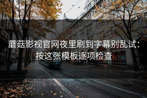 蘑菇影视官网夜里刷到字幕别乱试：按这张模板逐项检查