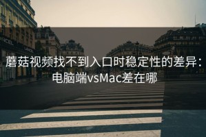 蘑菇视频找不到入口时稳定性的差异：电脑端vsMac差在哪