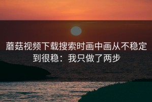 蘑菇视频下载搜索时画中画从不稳定到很稳：我只做了两步
