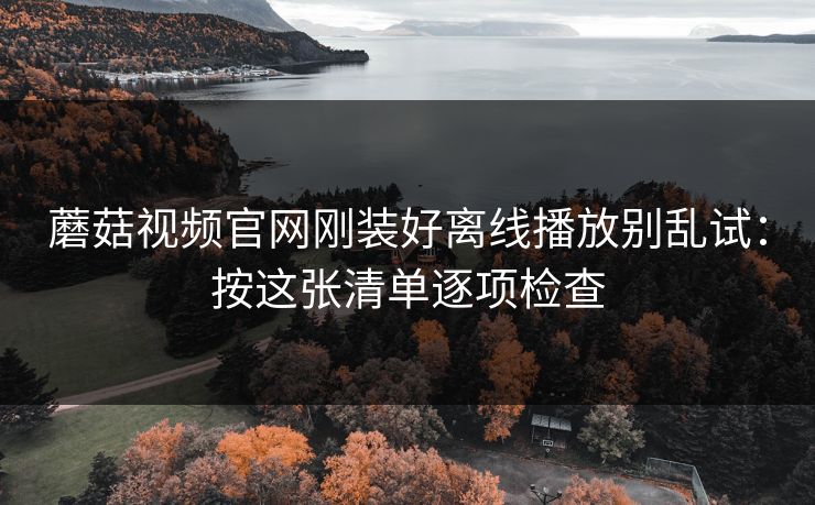 蘑菇视频官网刚装好离线播放别乱试：按这张清单逐项检查