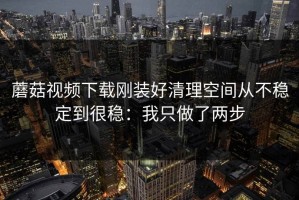 蘑菇视频下载刚装好清理空间从不稳定到很稳：我只做了两步