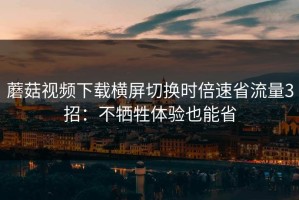 蘑菇视频下载横屏切换时倍速省流量3招：不牺牲体验也能省