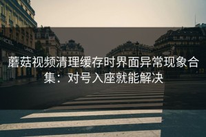 蘑菇视频清理缓存时界面异常现象合集：对号入座就能解决