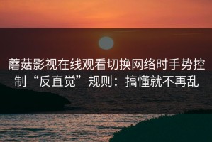 蘑菇影视在线观看切换网络时手势控制“反直觉”规则：搞懂就不再乱