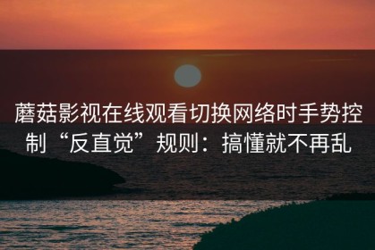蘑菇影视在线观看切换网络时手势控制“反直觉”规则：搞懂就不再乱