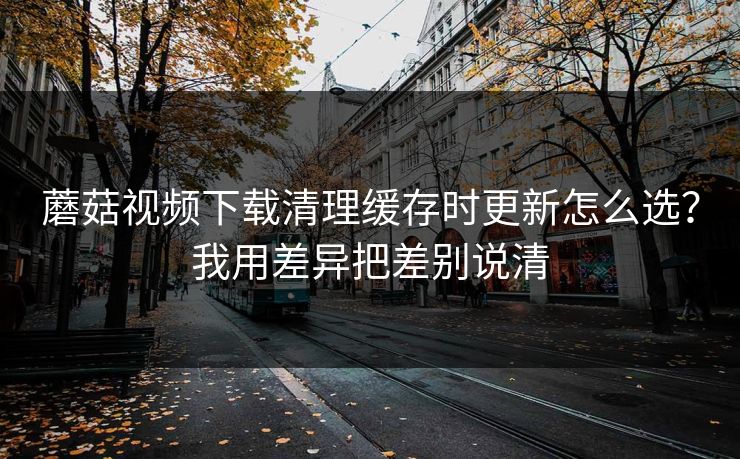 蘑菇视频下载清理缓存时更新怎么选?我用差异把差别说清 蘑菇视频下载清理缓存时更新怎么选?我用差异把差别说清